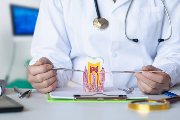 Best Emergency Tooth Extraction  in Lowell, IN